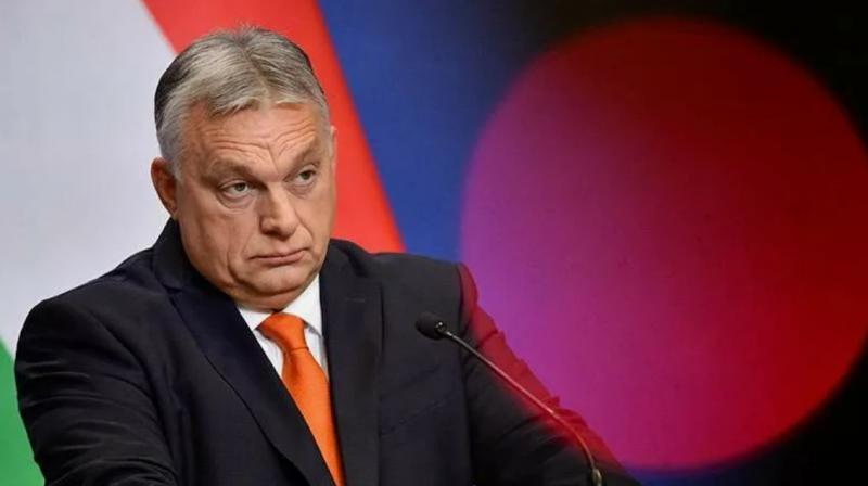 Украина: теперь уже «венгров на ножи»!