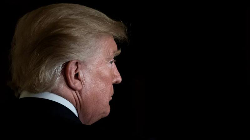 Так кто же все-таки мистер Трамп?