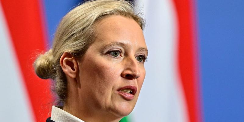 Алиса Вайдель – будущая канцлер Германии?