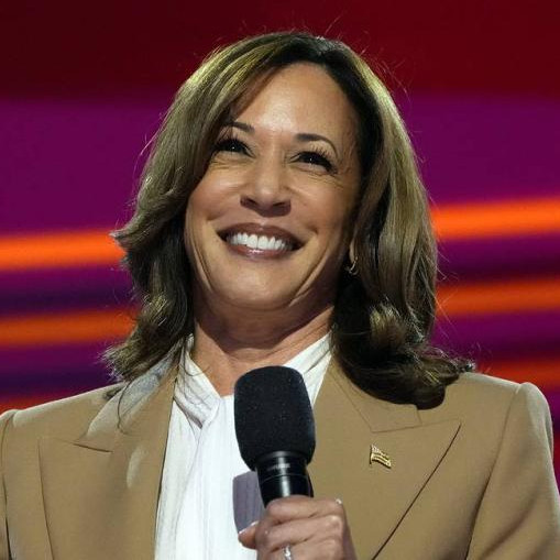 Harris secures support of 4,566 votes at US Democratic National Convention