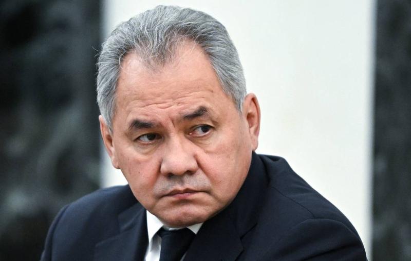 Шойгу доложил Путину об освобождении города Мариуполь
