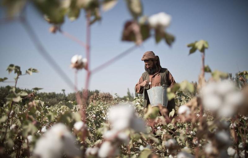 Press review: US ploy to hand Russia’s money to Ukraine in trouble and cotton prices soar