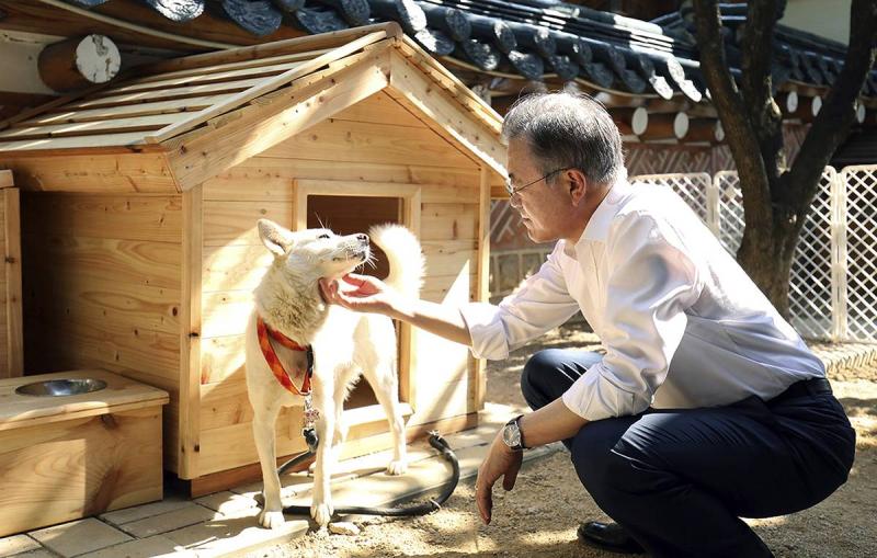 Коррупция на Украине выгодна и Киеву, и Западу. Мнение
