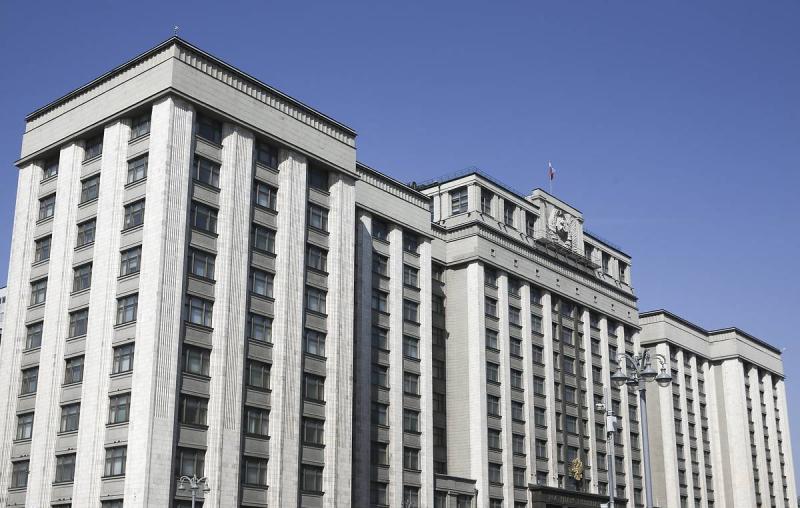 Госдума приняла закон о запрете на услуги суррогатных матерей для иностранцев