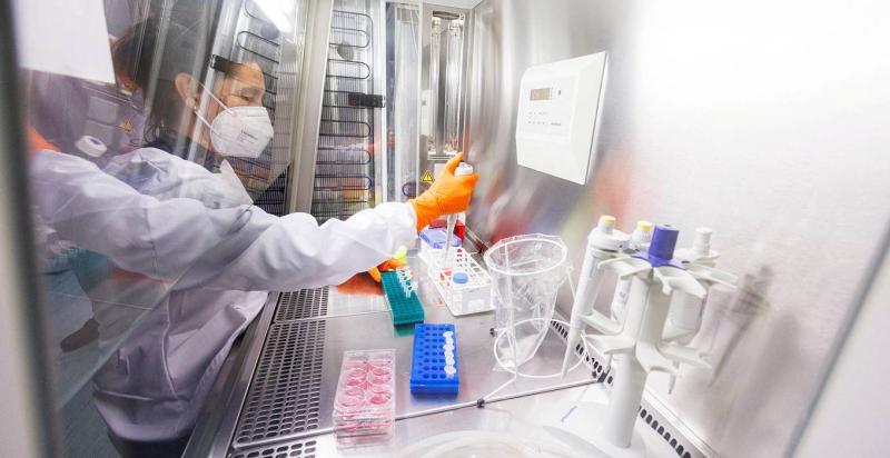 Коррупция на Украине выгодна и Киеву, и Западу. Мнение