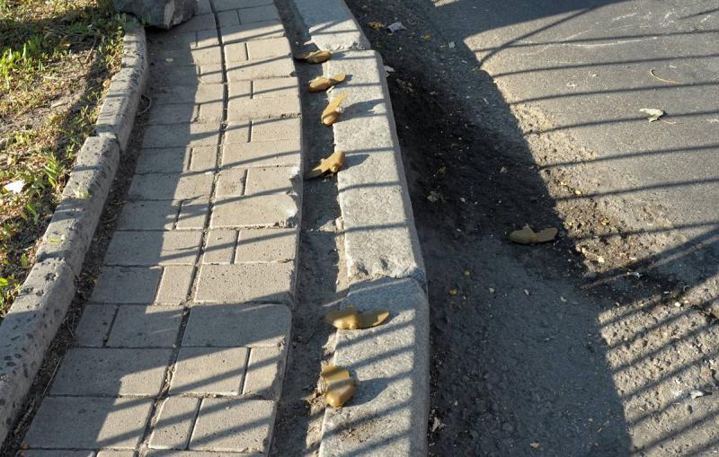 В Шебекинском округе под Белгородом нашли лепестковые мины