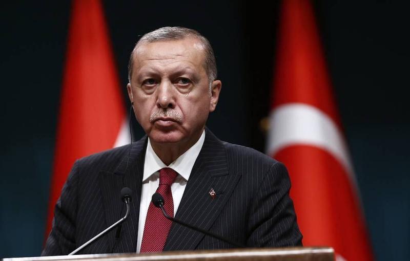 Эрдоган подтвердил готовность Турции стать площадкой для диалога Путина и Зеленского