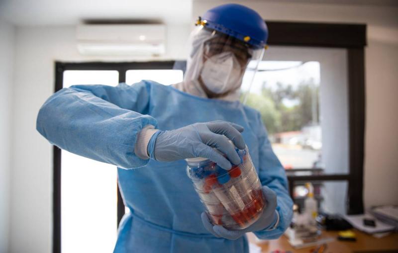 Число заразившихся оспой обезьян за пределами Африки выросло вдвое за 12 дней