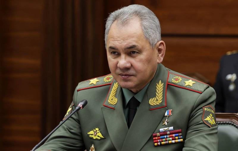 Шойгу поручил группировке 