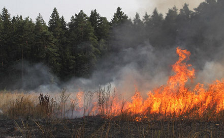 Коррупция на Украине выгодна и Киеву, и Западу. Мнение