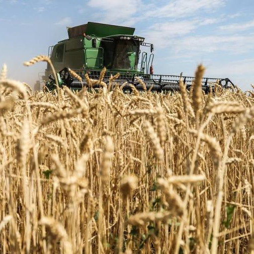 Ukrainian grain exports expected to begin in coming days