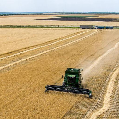 Press review: Why Moscow dumped grain deal and is Canada rethinking Russia asset freeze