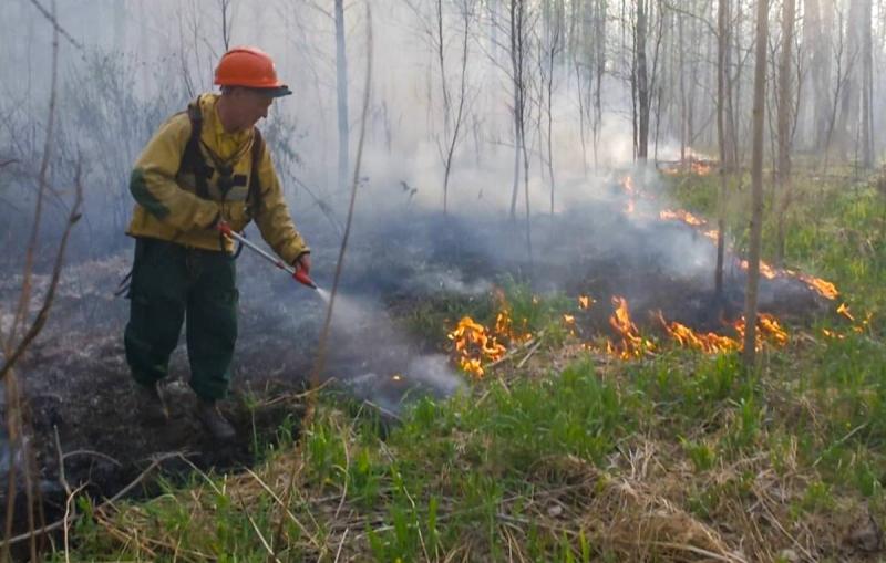 Южная Корея стремится в «ядерный клуб». Мнение