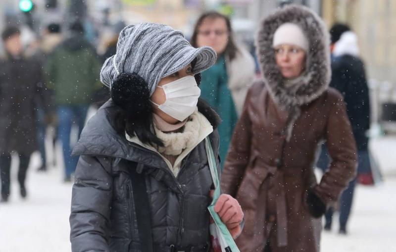 Гинцбург заявил, что грипп В со временем вытеснит грипп А в России