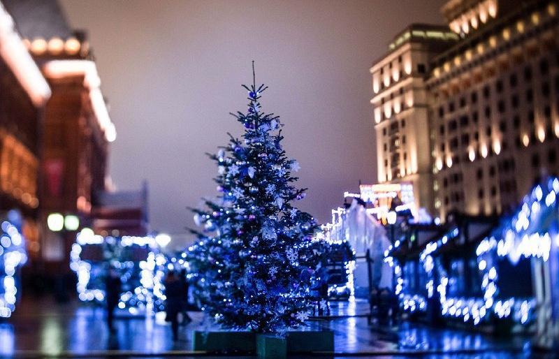 Дети участников СВО из 85 регионов прибыли в Москву на Елку министра обороны РФ