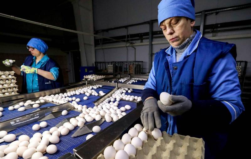 В Кремле констатировали успех при стабилизации цен на яйца в России