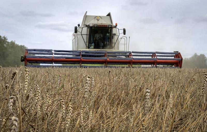 Grain deal: Moscow's patience runs out