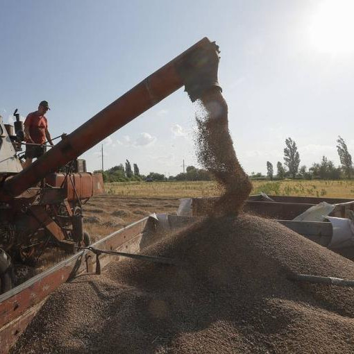 Russia’s withdrawal from grain deal to have economic consequences for Egypt