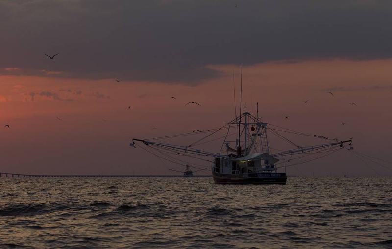 Russian fishing vessel catches fire off South Korea, four missing