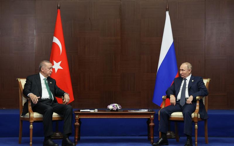 Переговоры Эрдогана с Путиным по зерновой сделке могут состояться в России