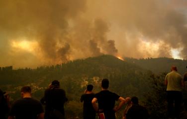 СМИ: в горящем лесу на северо-востоке Греции пожарные обнаружили 26 погибших мигрантов