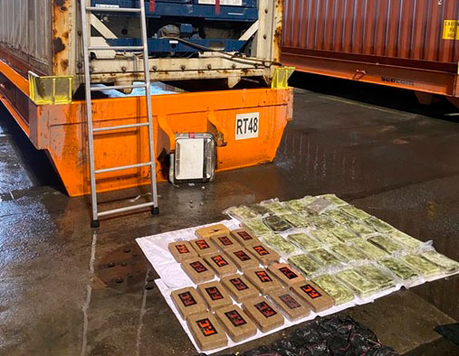 В порту Петербурга выявили 50 кг кокаина в контейнере с бананами
