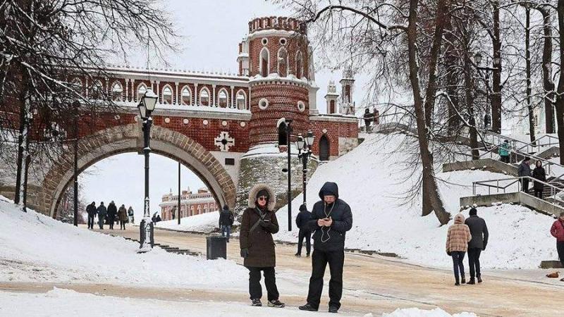 В Москве спилили короны с орлов на гербах на ограде в парке "Царицыно"