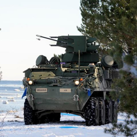 Forbes: Киев намерен использовать Stryker при контратаке ВС РФ под Курском