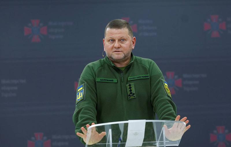 В Раде сообщили об отставке Залужного с поста главкома ВСУ