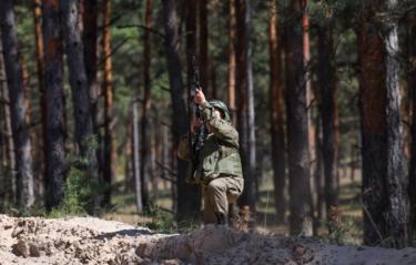 Минобороны России заявило об освобождении Новокалиново в ДНР