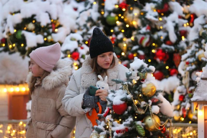Депутат убежден, что объявление 31 декабря выходным не отразится на экономике России