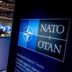 Четыре страны НАТО намерены разрабатывать крылатые ракеты большой дальности