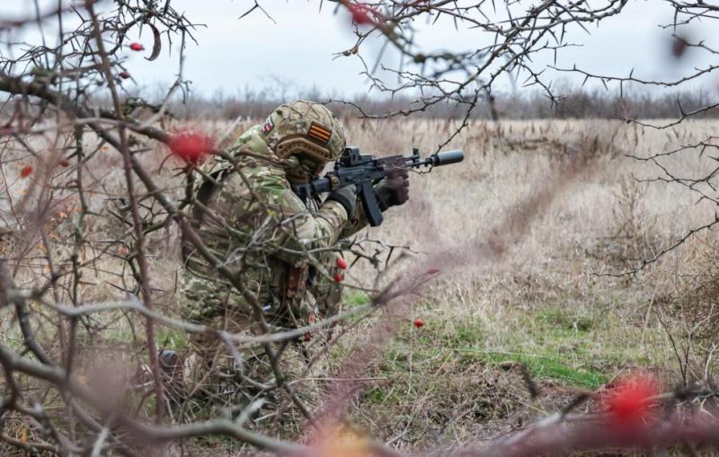 Российские ВС освободили Дарьино и Плехово в Курской области