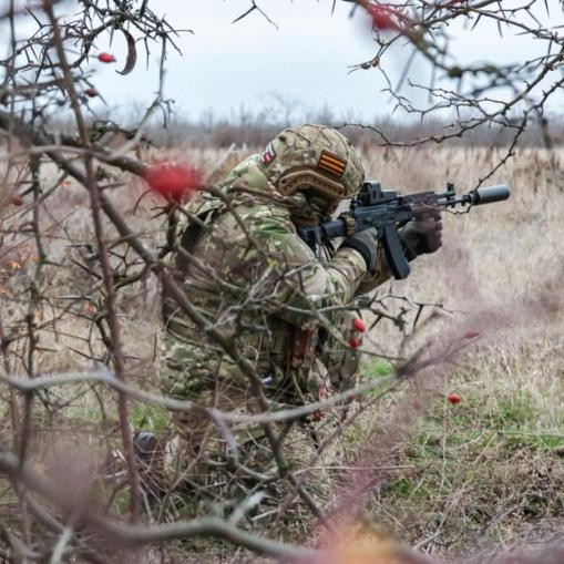 Российские ВС освободили Дарьино и Плехово в Курской области