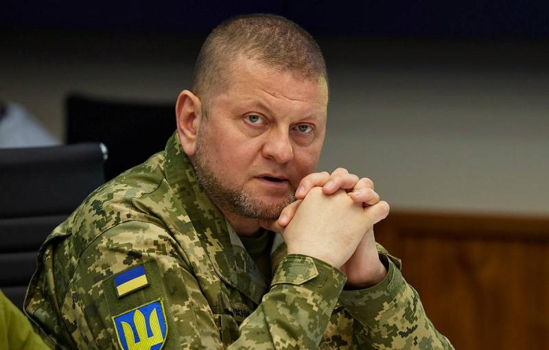 Польский генерал считает, что отставка Залужного может негативно отразиться на боевом духе ВСУ