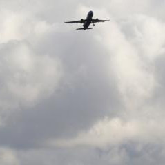 Экипаж упавшего в Подмосковье самолета погиб