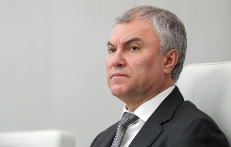 Володин считает, что любая страна обязана принять закон об иноагентах