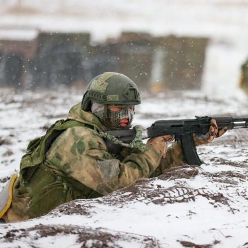 Российские ВС освободили Старые Терны и Трудовое в ДНР