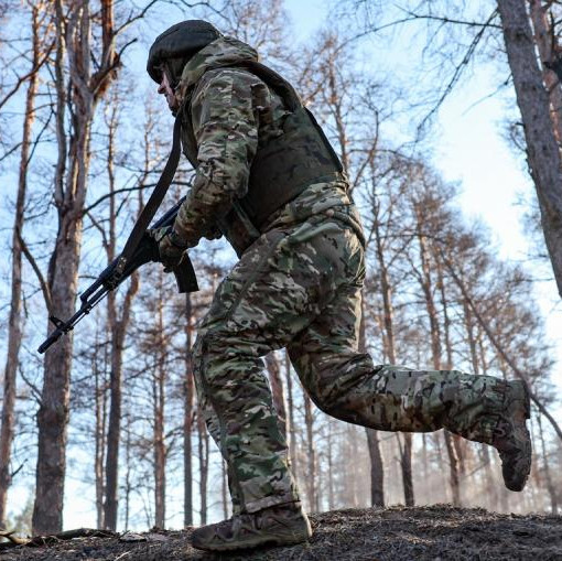 Российские ВС освободили Зеленовку и Новый Комар в ДНР