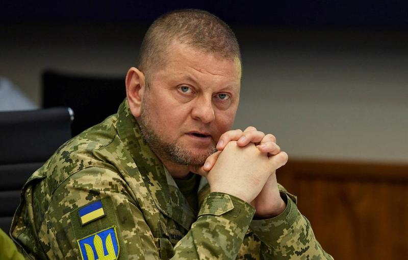 Британия пока не дала согласие на назначение Залужного послом в Лондоне