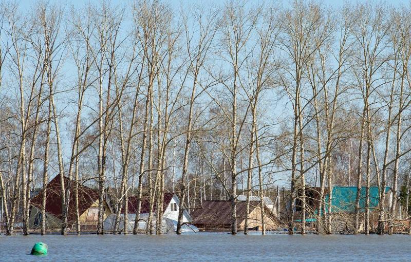 Уровень Ишима в тюменском селе Абатское достиг 980 см