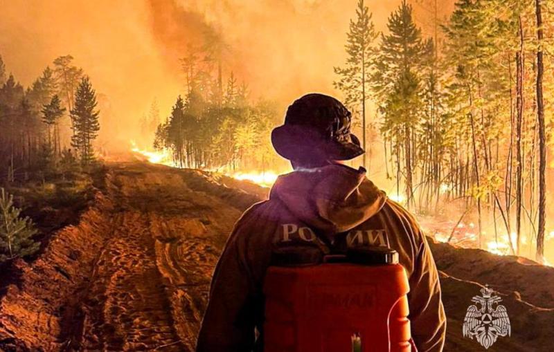 Площадь природных пожаров в Якутии достигла 600 тыс. га