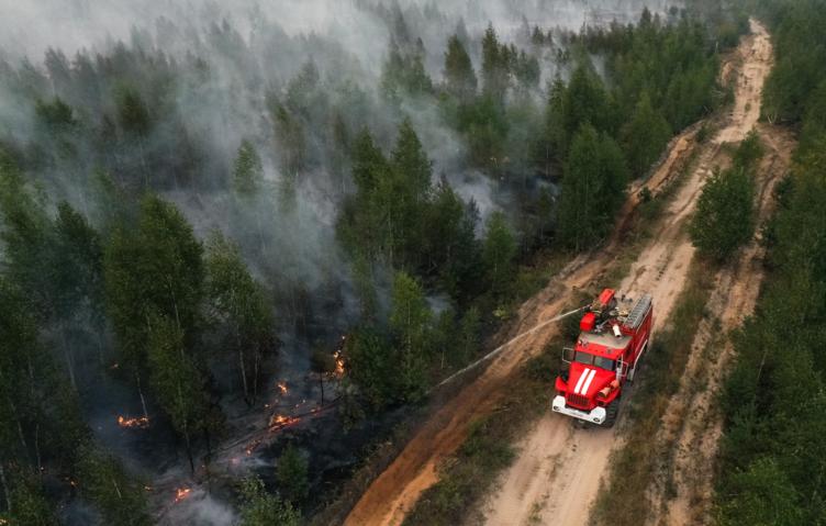 В ЛНР за минувшие сутки зафиксировали более 60 новых пожаров