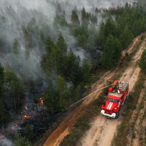 В ЛНР за минувшие сутки зафиксировали более 60 новых пожаров