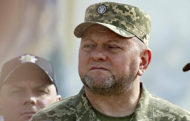 Песков: в Кремле следят за новостями о Залужном
