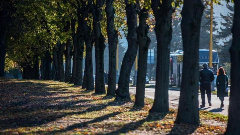 Синоптики рассказали о начале календарной осени в Москве и области