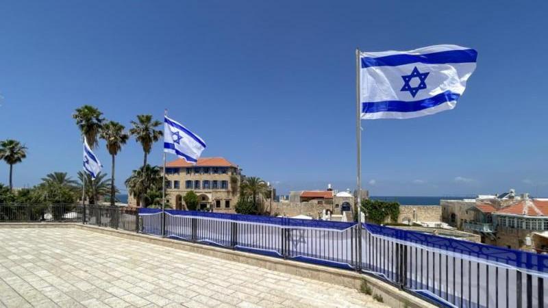 Israel Hayom: Израиль может поместить Грету Тунберг в тюрьму для террористов
