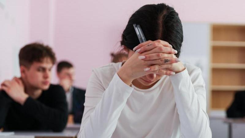 ЛДПР внесет в Госдуму инициативу о введении штрафов за буллинг