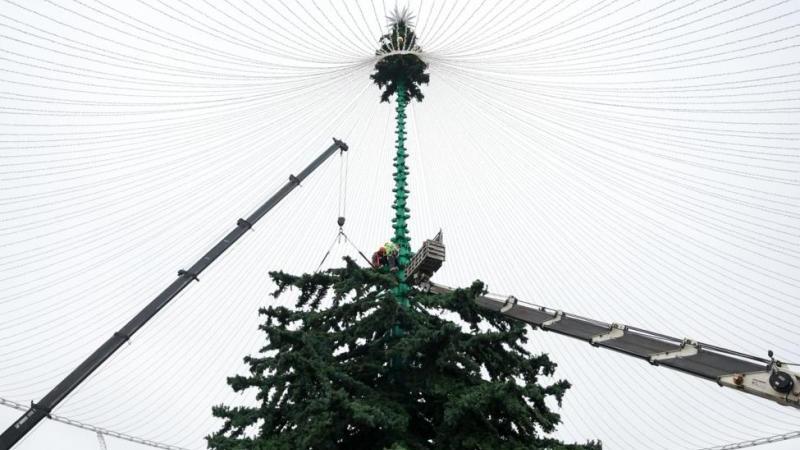 Главная новогодняя елка России будет украшена к 25 декабря