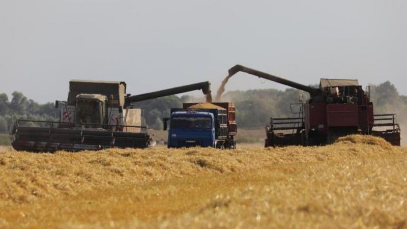 Урожай зерна в России по итогам года составит не менее 135 млн тонн